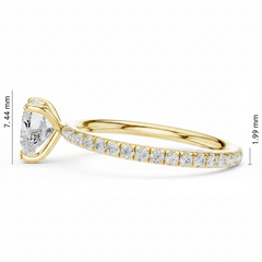 Yellow Gold