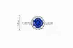 Sapphire With Four-Prong Halo