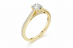 Yellow Gold