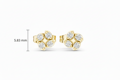 Diamond Clover